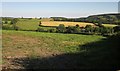 Valley west of Tavistock