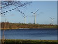 Airy Holm Reservoir