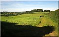 Countryside near Newton Farm