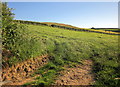 Hillside above Artiscombe