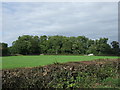 Farmland near Speetley Farm