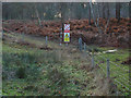 SU9254 : Ash Range fenceline by Alan Hunt