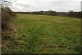 Field on Mithian Downs