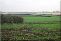 TL5374 : Flat fenland farmland by N Chadwick