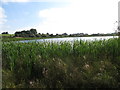 View due south across Lurgancullenboy/Creggan Lough 