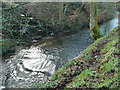 Black Brook at the overflow from the Gate Head Mill millpond