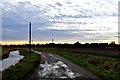 The road from Oxenham Farm