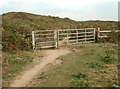 SS7980 : Gates on a bridleway at the southern edge of Kenfig Burrows by eswales
