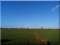 Footpath to Preston Bissett