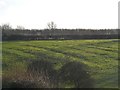 Ridge and furrow patterns near Tingewick