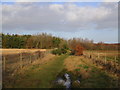 Footpath to Levels Lane