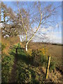 Footpath to Levels Lane