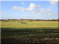 View towards an old sand pit