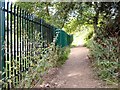 Footpath alongside Alder School