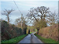 Lane towards Helions Bumpstead