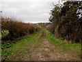 SO5529 : Muddy track towards the Wye, Ruxton by Jaggery