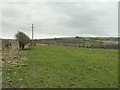 Footpath between Gwespyr and Llanasa Road