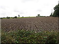 Ploughed field on the west side of Drumalt Road