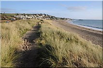 SW5131 : Sand bank at Marazion by Philip Halling