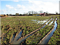 Site of a new housing estate