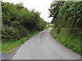 Descending through woodland along Polkone Road