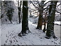H4772 : Winter scene, Cranny by Kenneth  Allen