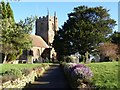 St Peter and St Paul Church, Odcombe