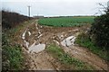 Arable field near Pennance Vean