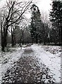 Light snow on a forestry road in the Wyre Forest, near Buttonoak