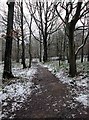 Path in Wyre Forest, near Buttonoak