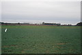 Flat farmland