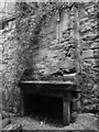 Fireplace In The Ruins