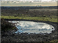 TQ2997 : Field near Shaws Wood, Trent Park, Cockfosters by Christine Matthews
