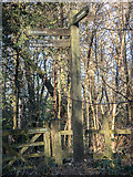 TQ2997 : Signpost, Williams Woods, Trent Park, Cockfosters by Christine Matthews