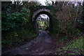 Disused railway bridge