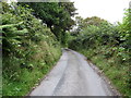 Lane climbing gradually up the slopes of Cashel