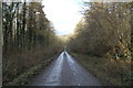 Road through Croxby Pond Plantation