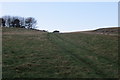 NO3923 : Grassland, Long Hill by Richard Webb