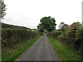 View due north along Back Road