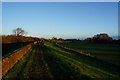 Riverside path near Barlby