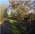 Trans Pennine Trail towards York