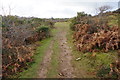 Path on Roborough Down