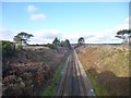 SU3406 : Beaulieu Road, railway cutting by Mike Faherty
