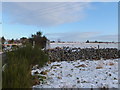 Trig point at Newmore