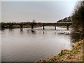 SD5428 : River Ribble, Old Tram Bridge by David Dixon
