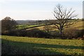 Farmland at Cheriton Bishop