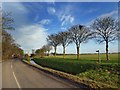 Nearing South Somercotes