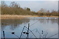 Chigborough Lakes Reserve