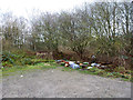 A corner of the car park, Stockley Country Park