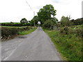 View NNW along Cashel Road